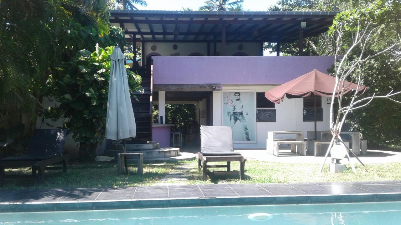 Turtle Eco Beach Matara Eksteriør bilde