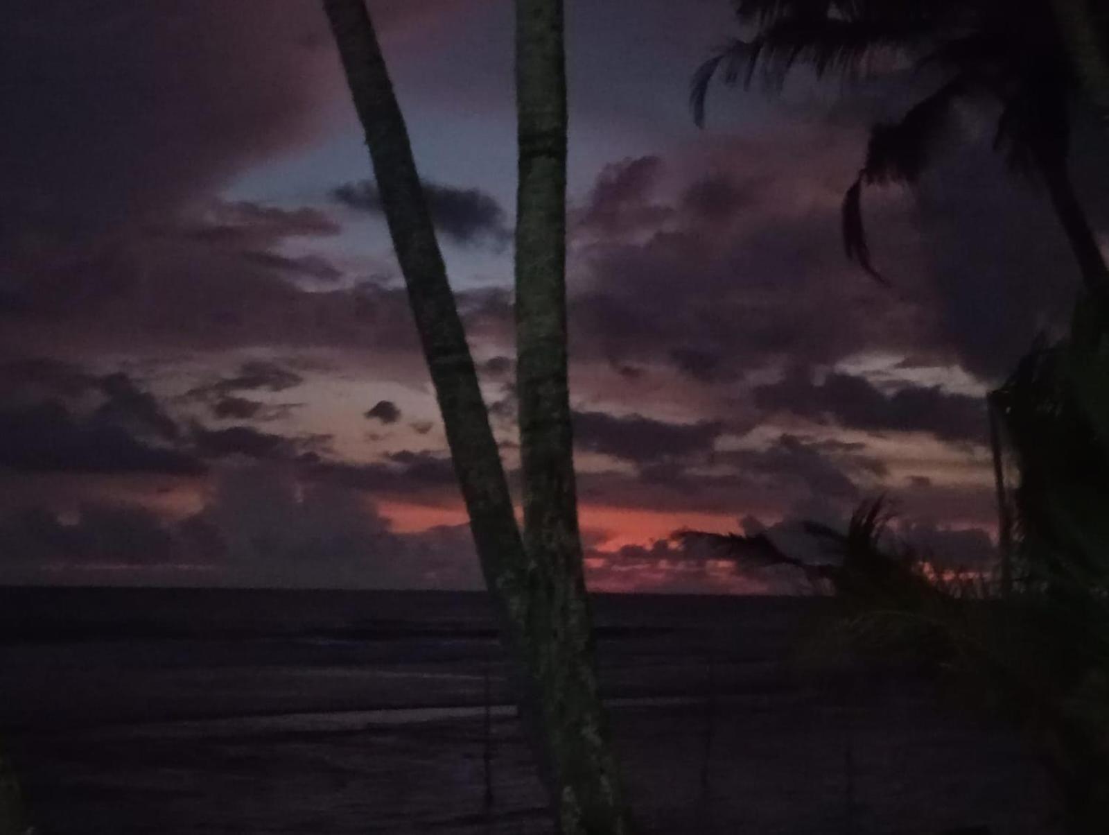Turtle Eco Beach Matara Eksteriør bilde