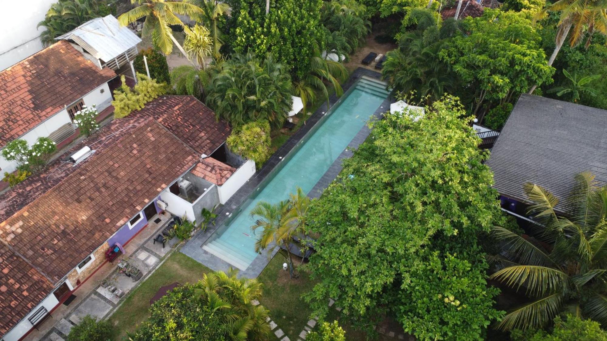 Turtle Eco Beach Matara Eksteriør bilde