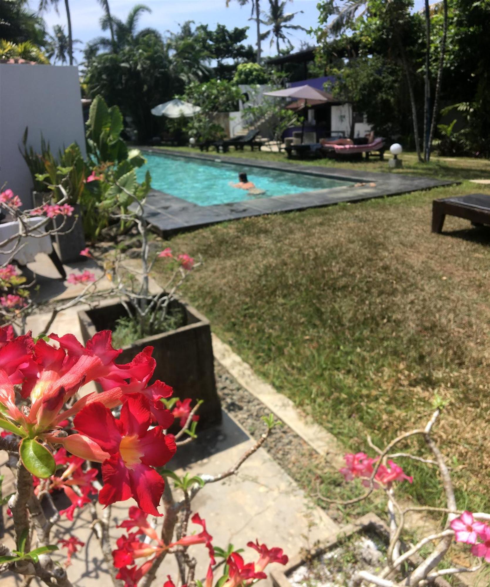 Turtle Eco Beach Matara Eksteriør bilde