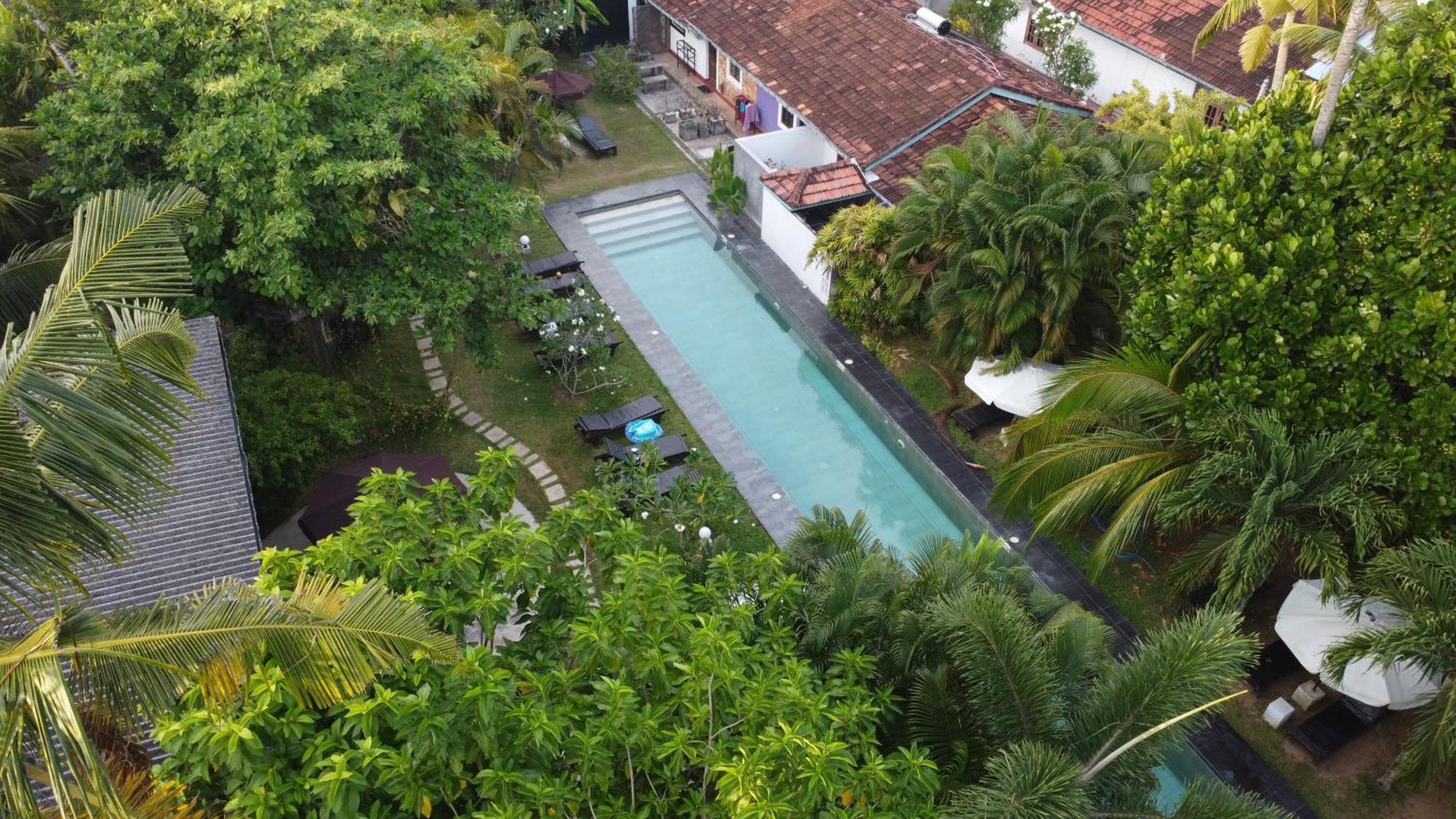Turtle Eco Beach Matara Eksteriør bilde