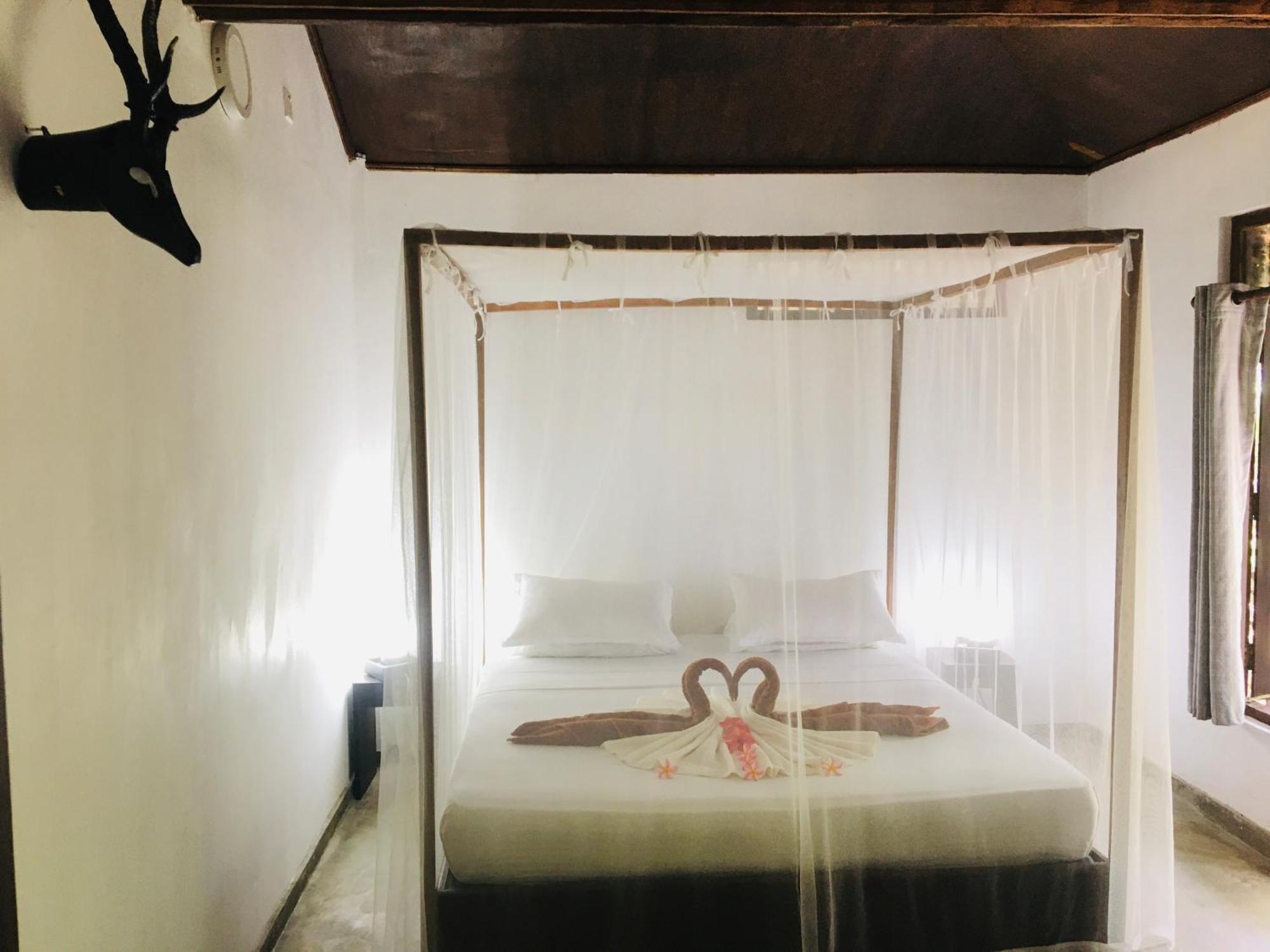 Turtle Eco Beach Matara Eksteriør bilde
