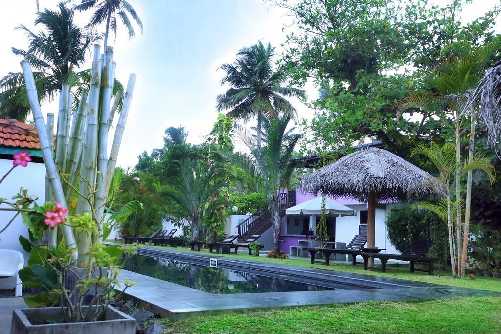 Turtle Eco Beach Hotell Matara Eksteriør bilde