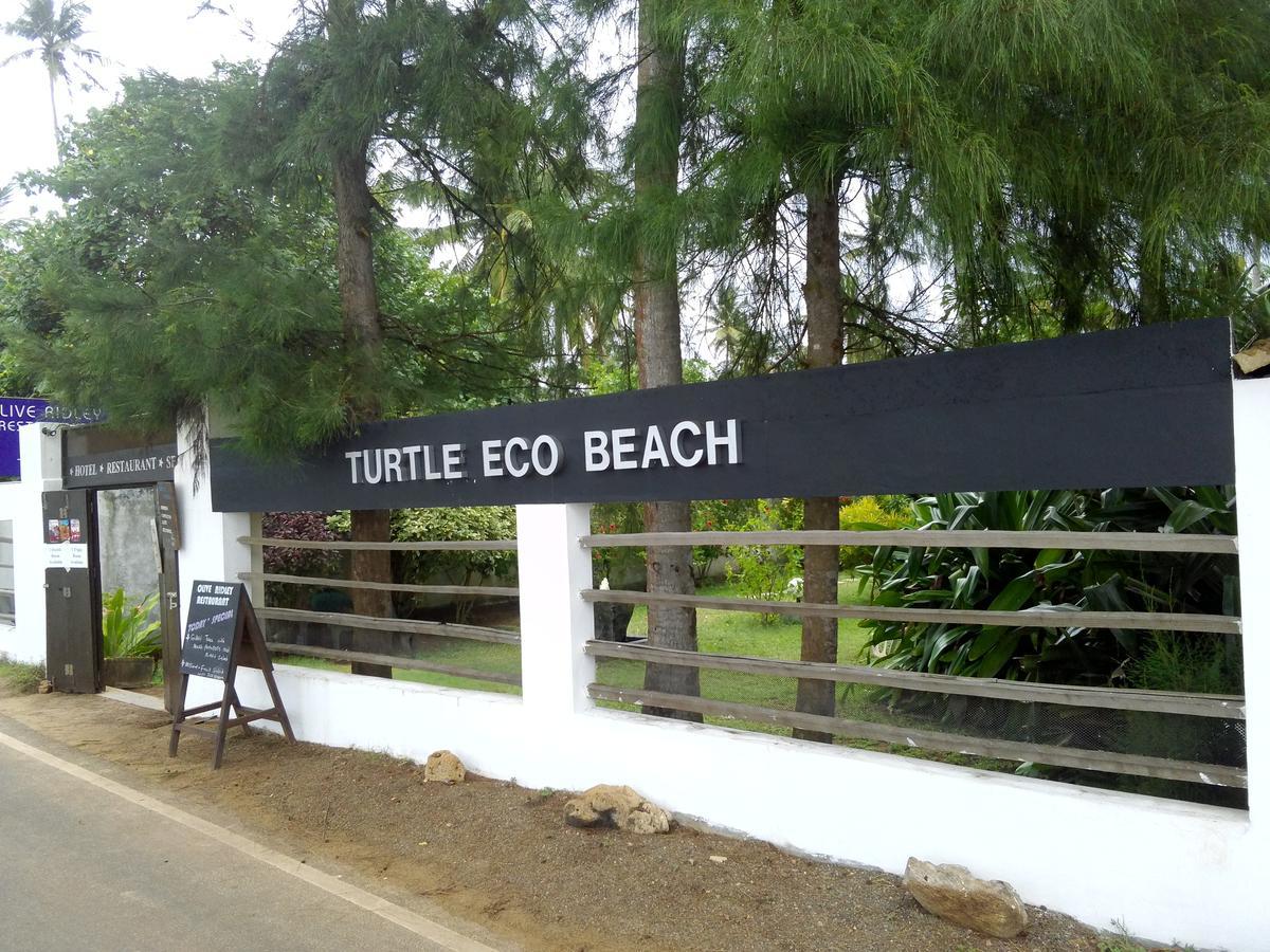 Turtle Eco Beach Hotell Matara Eksteriør bilde