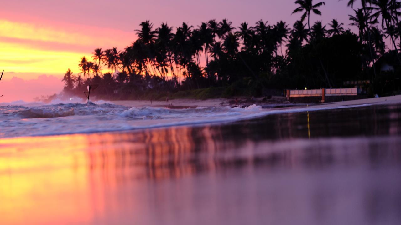 Turtle Eco Beach Matara Eksteriør bilde
