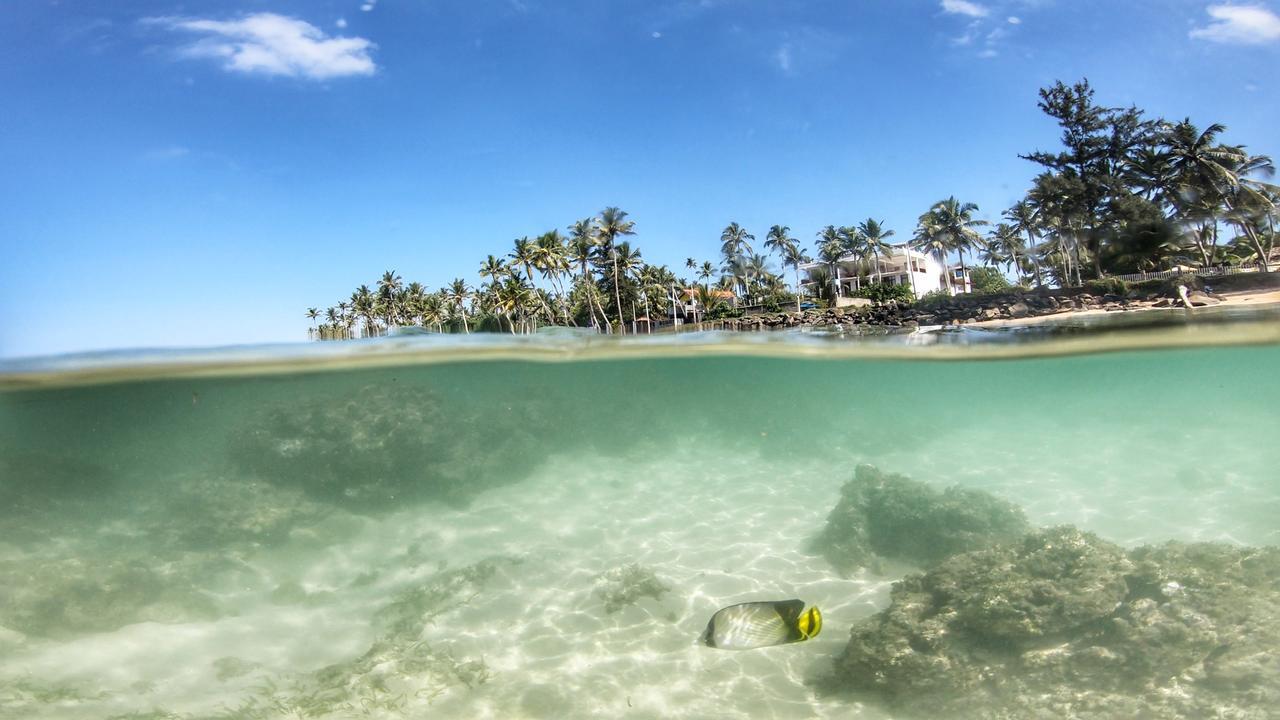 Turtle Eco Beach Hotell Matara Eksteriør bilde