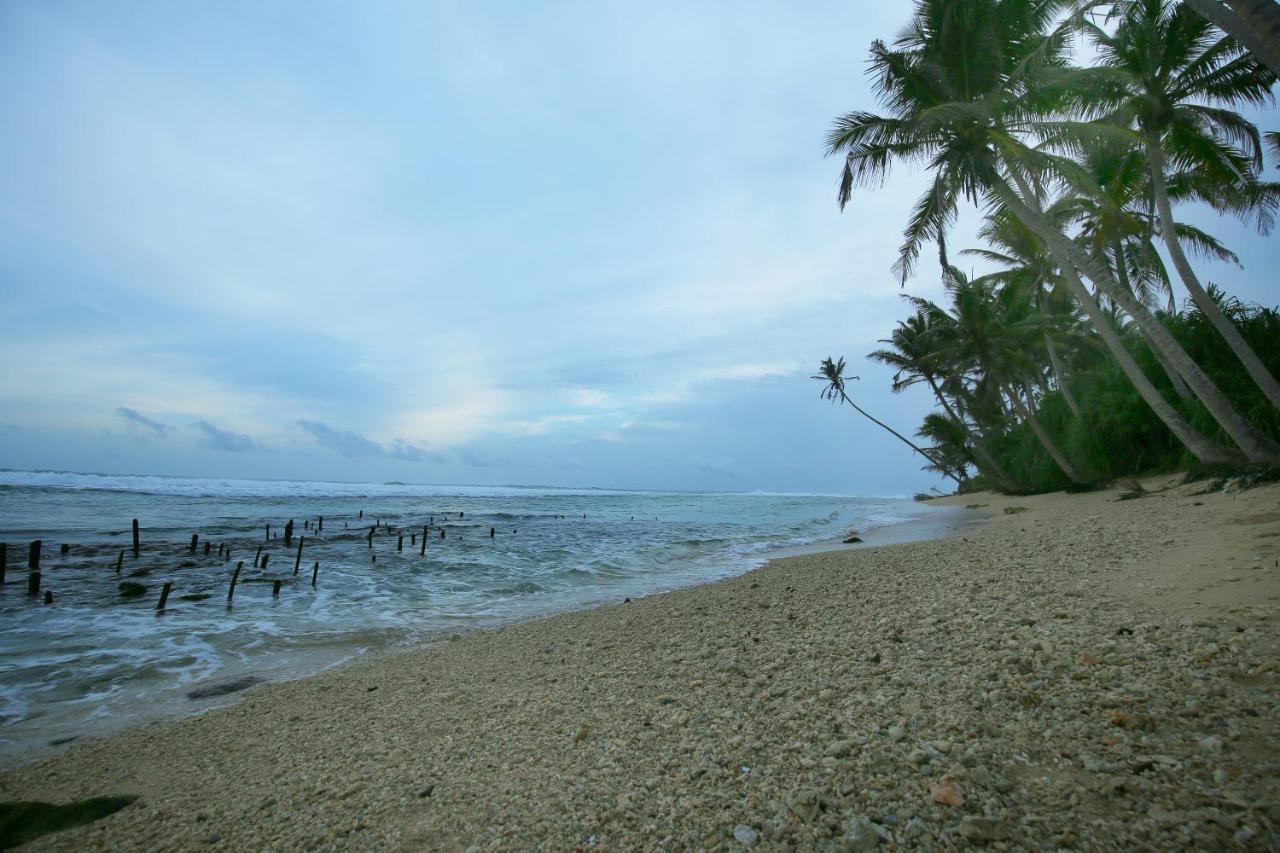 Turtle Eco Beach Hotell Matara Eksteriør bilde