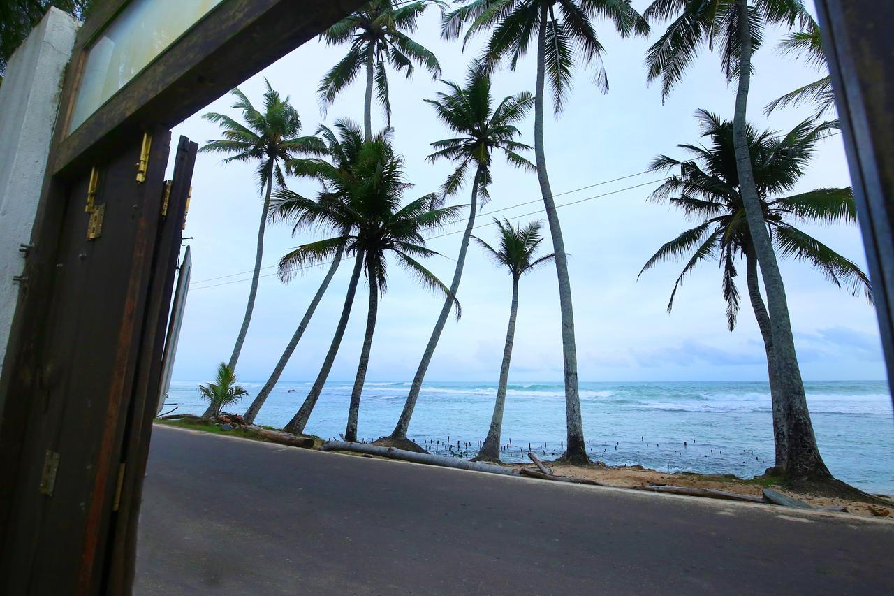 Turtle Eco Beach Matara Eksteriør bilde