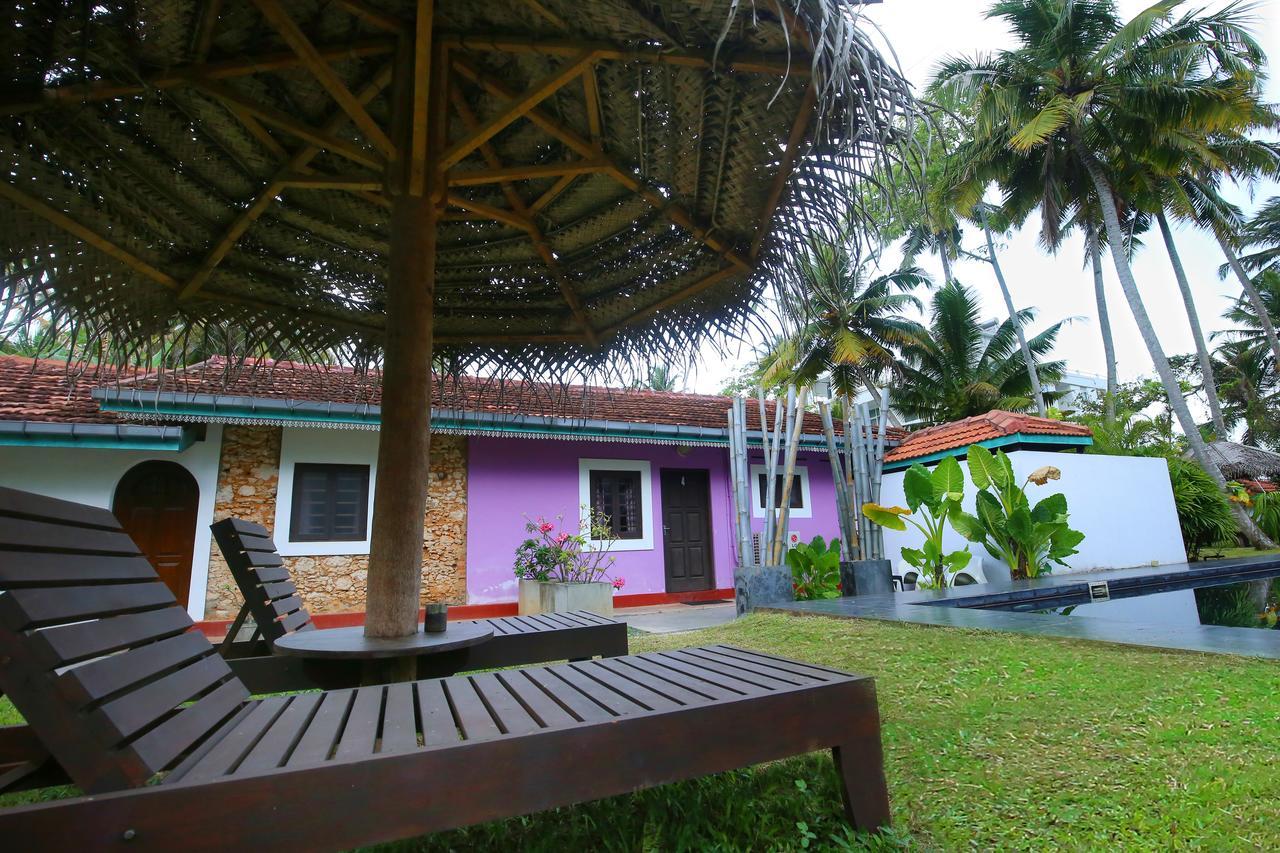 Turtle Eco Beach Matara Eksteriør bilde