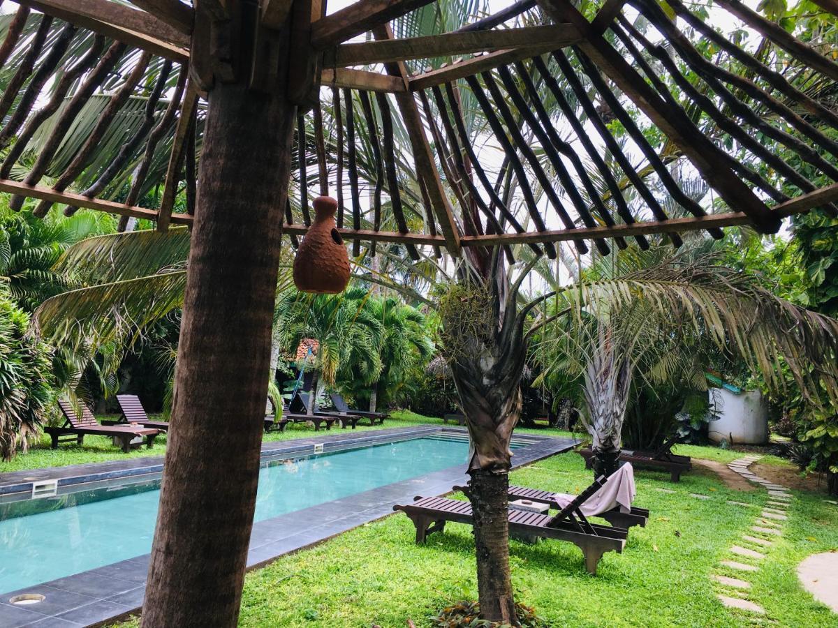 Turtle Eco Beach Matara Eksteriør bilde